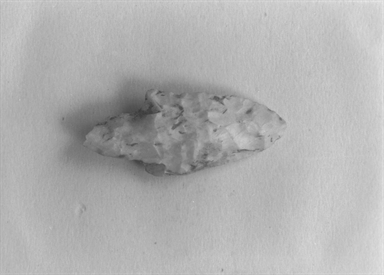 punta foliata peduncolata